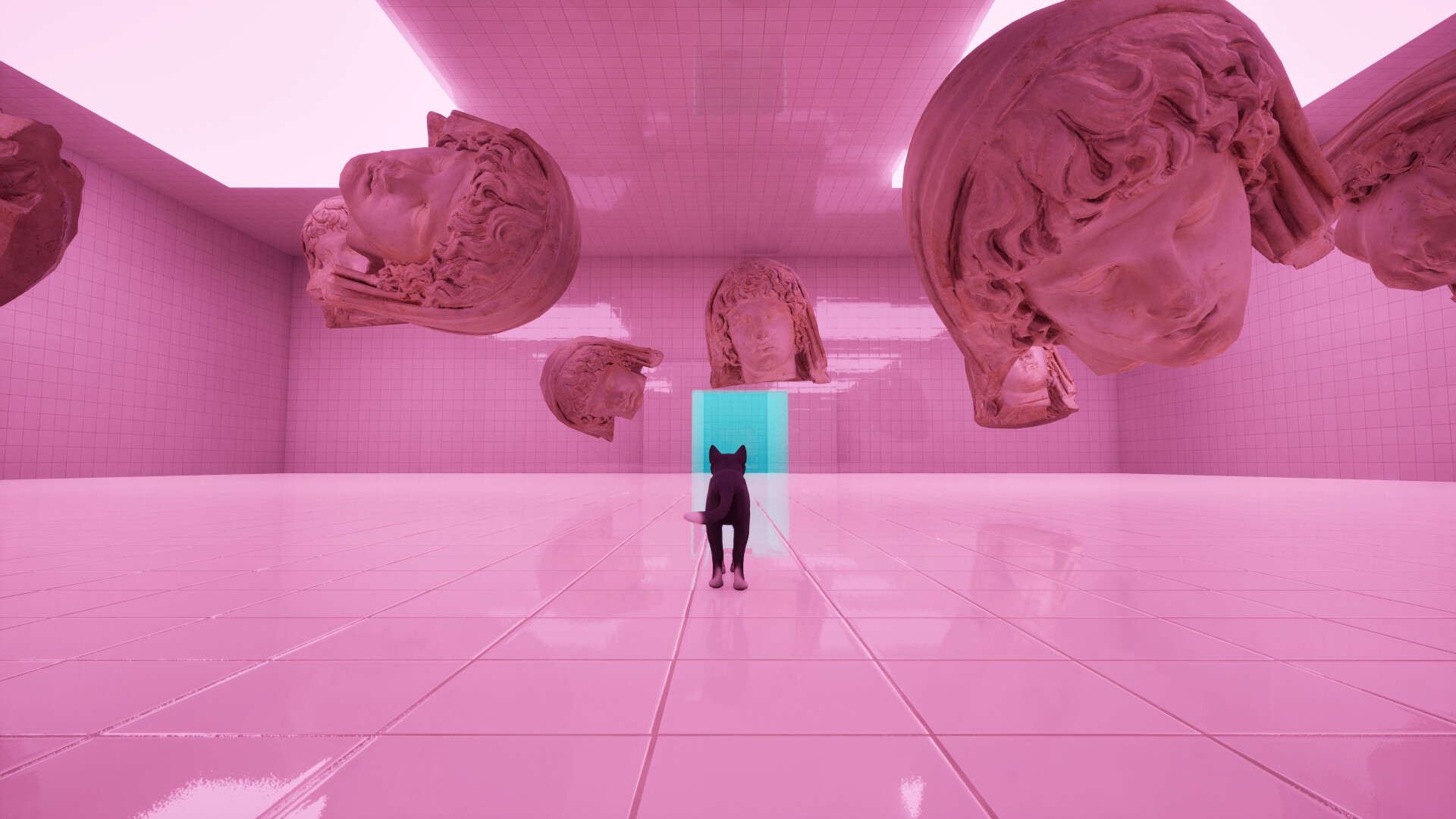 LIMINAL CAT trailer