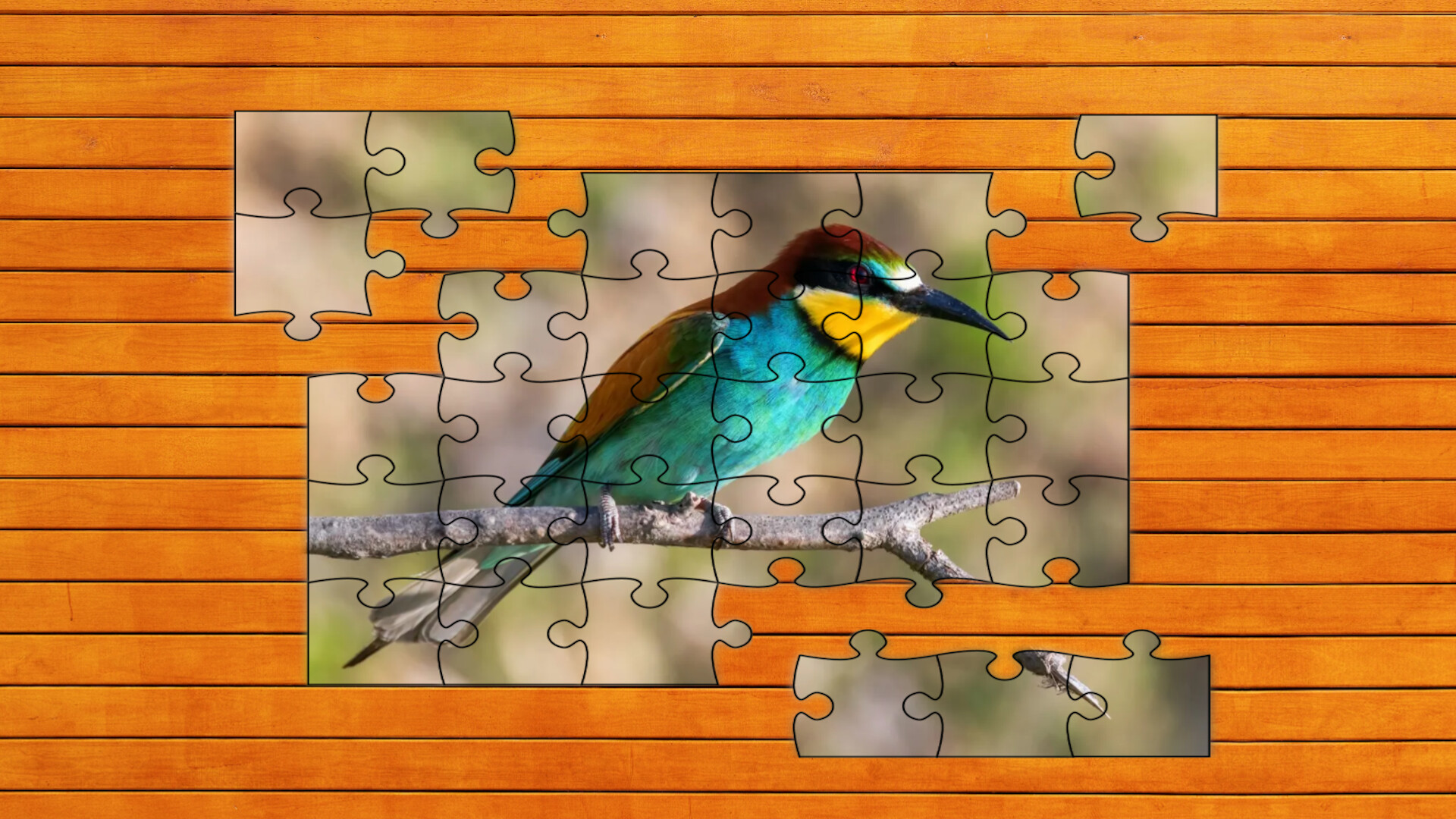 Whispers of Wings Jigsaw Puzzles screenshot 3