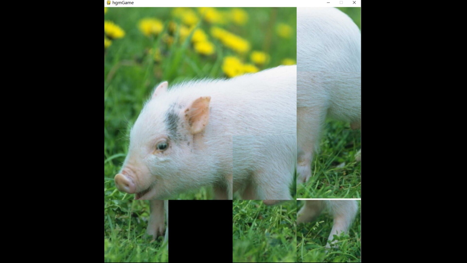 hgmGame-pig screenshot 2