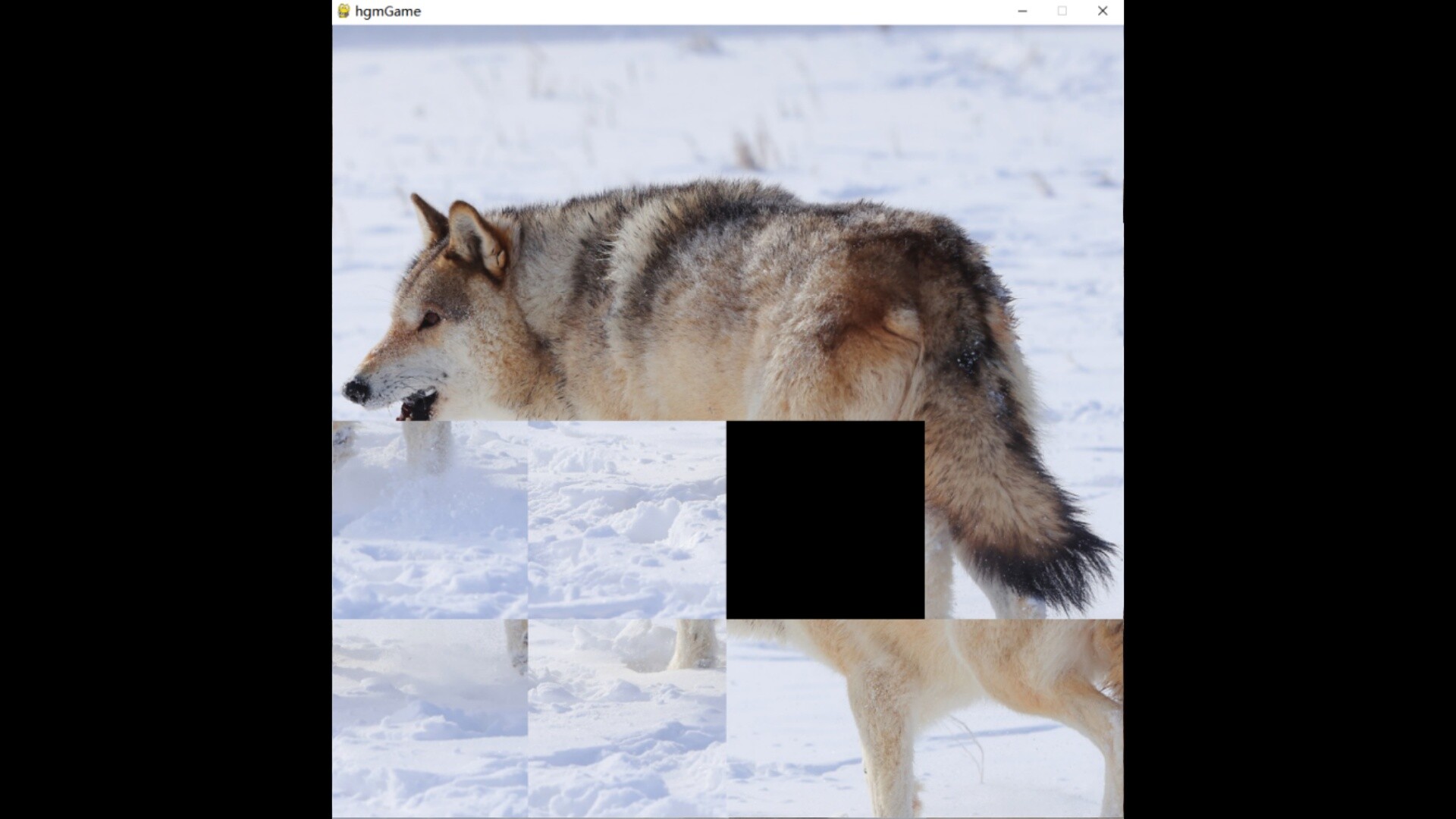 hgmGame-wolf screenshot 3