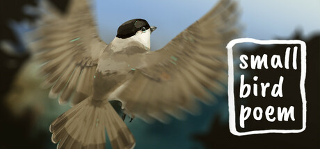 Cover art from small bird poem