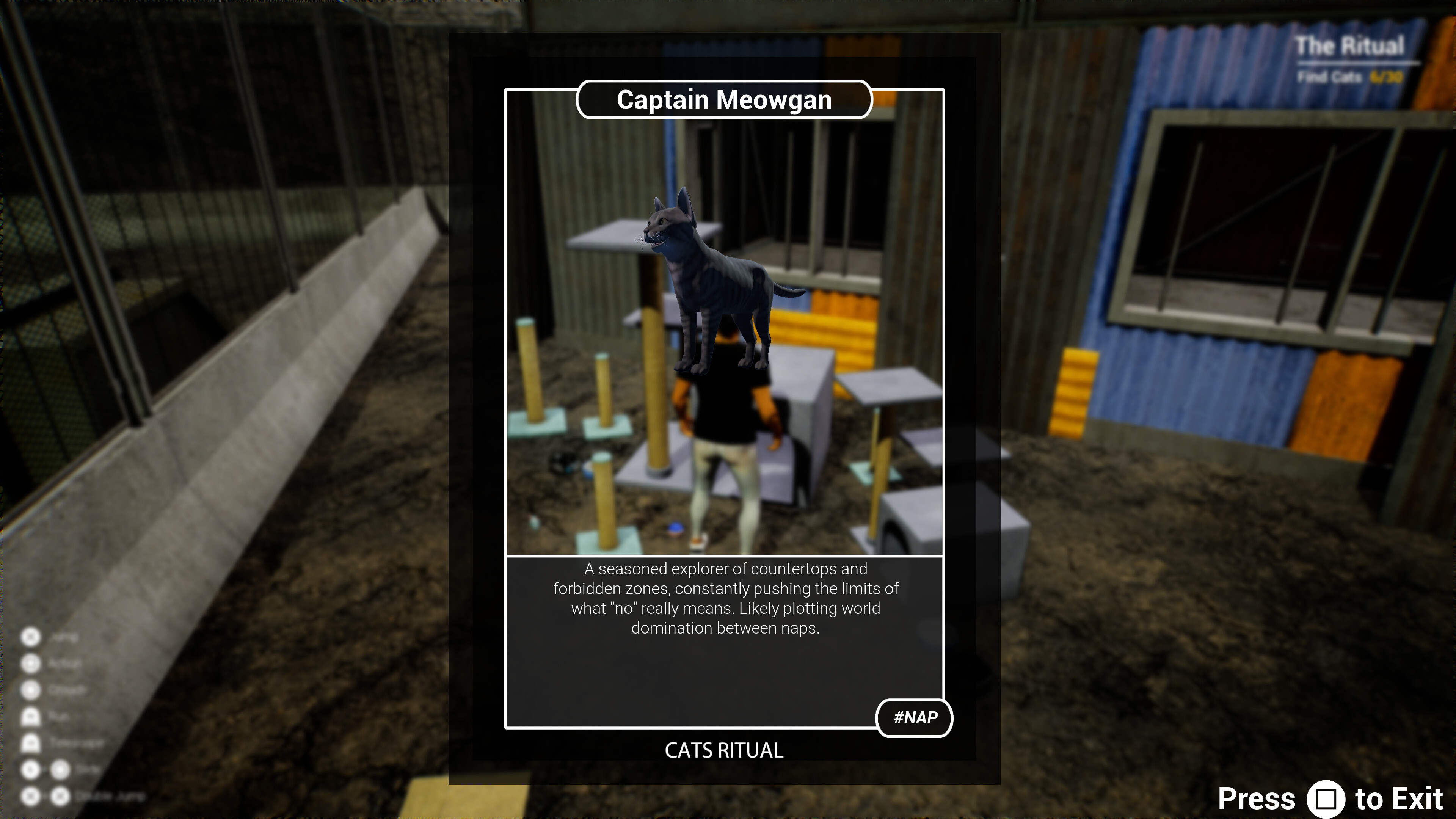 Cats Ritual screenshot 5