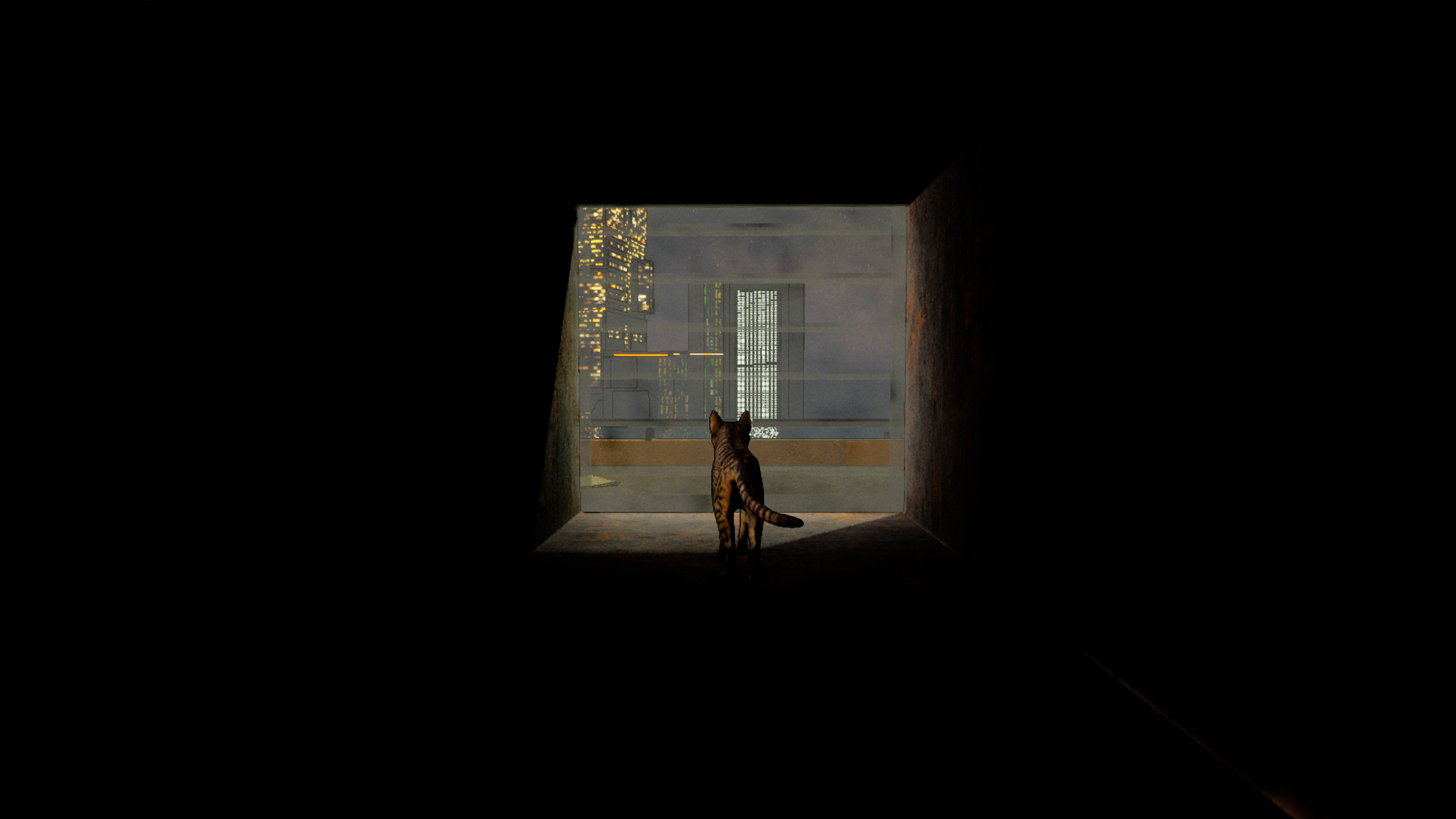 Cats Ritual trailer