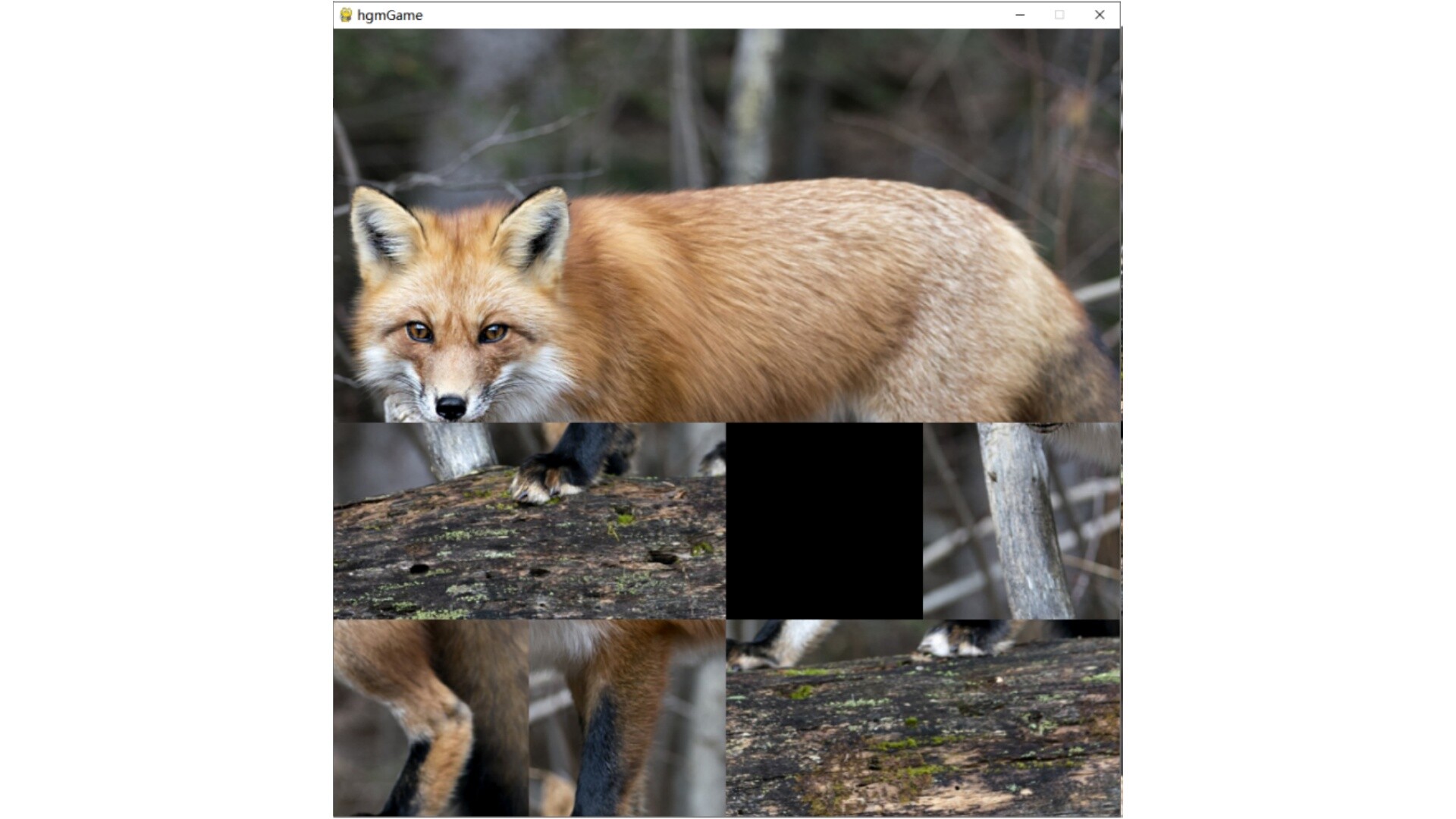 hgmGame-fox screenshot 4