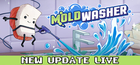 Moldwasher