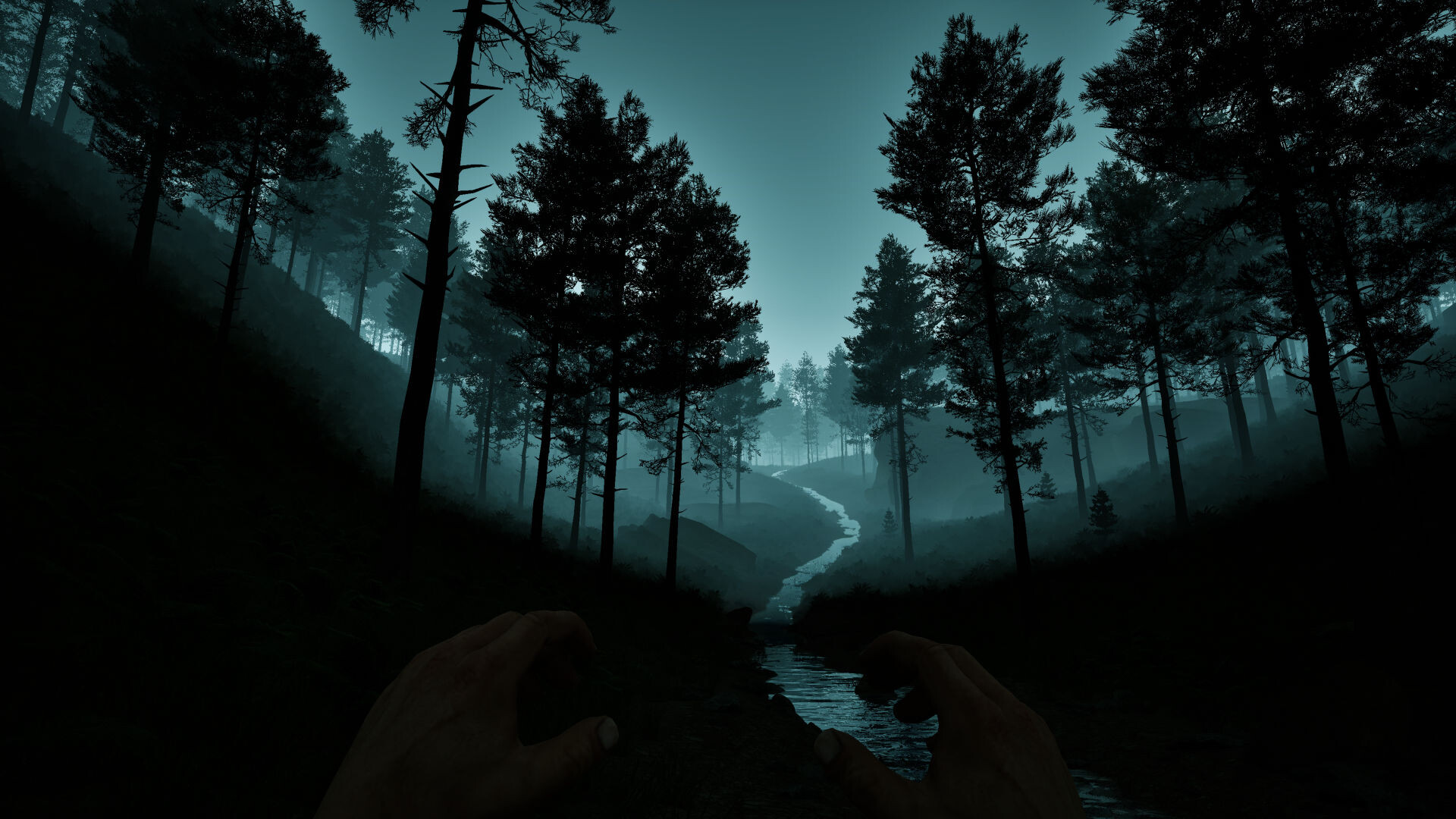 Dark Realms: Mysteries of Hoia Baciu Forest screenshot 3