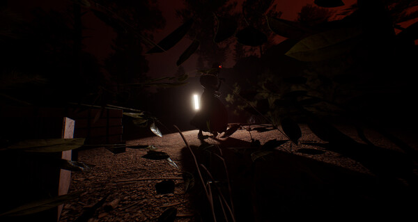 Dark Realms: Mysteries of Hoia Baciu Forest screenshot 2