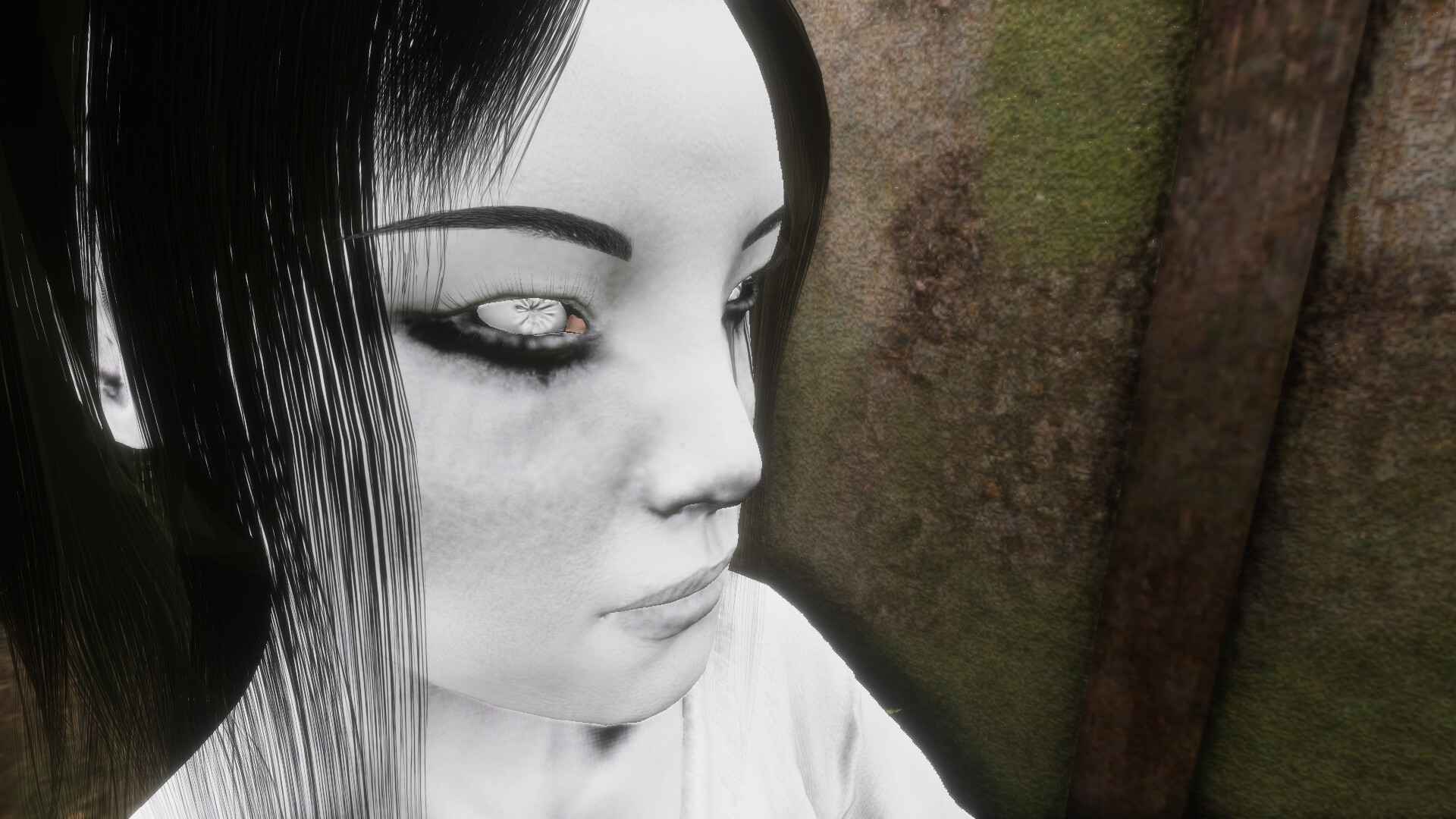 Scare: Fatal Picture - The Other Side screenshot 3
