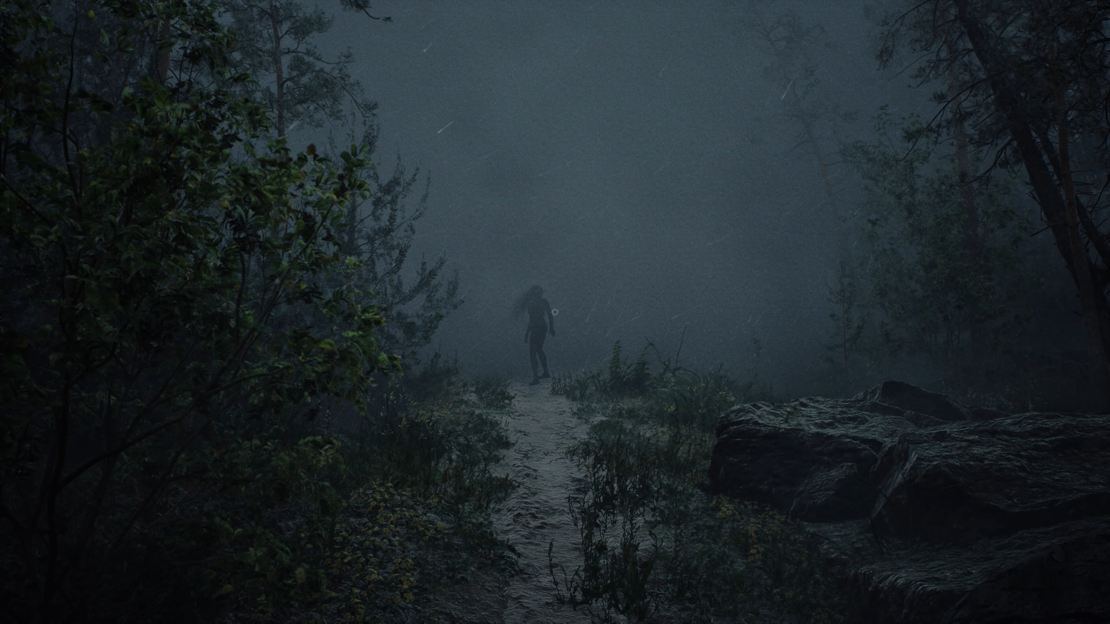 Whispers in the fog screenshot 5