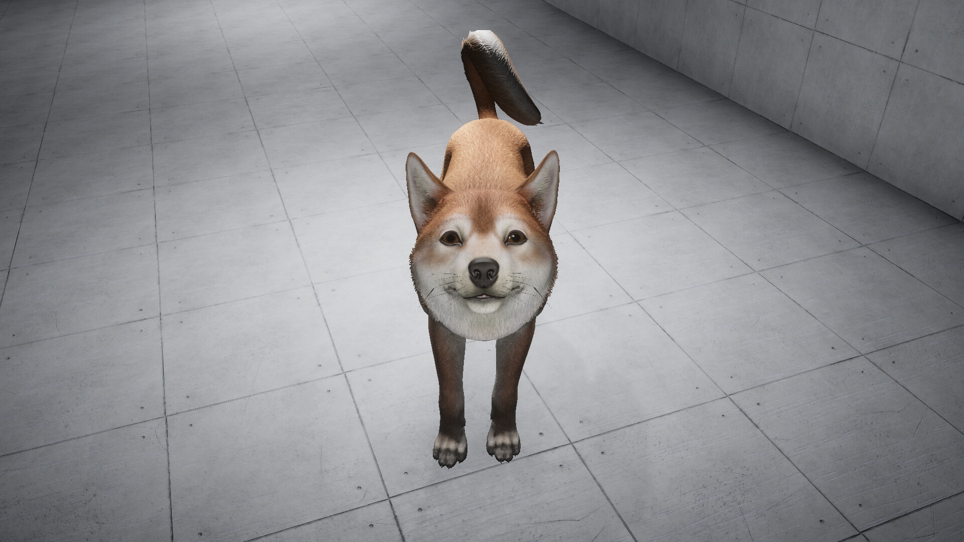 Like a dog screenshot 3