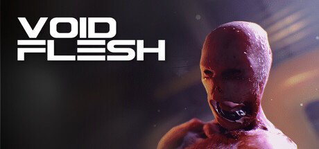 Cover art from Void Flesh