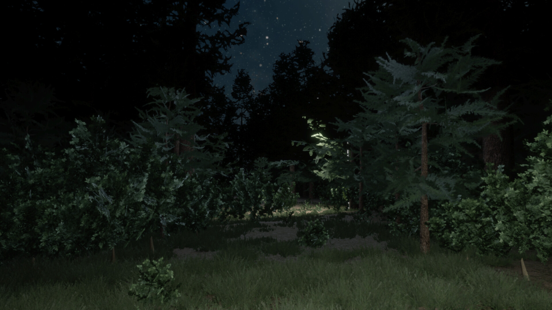 Darkness in the Forest screenshot 5
