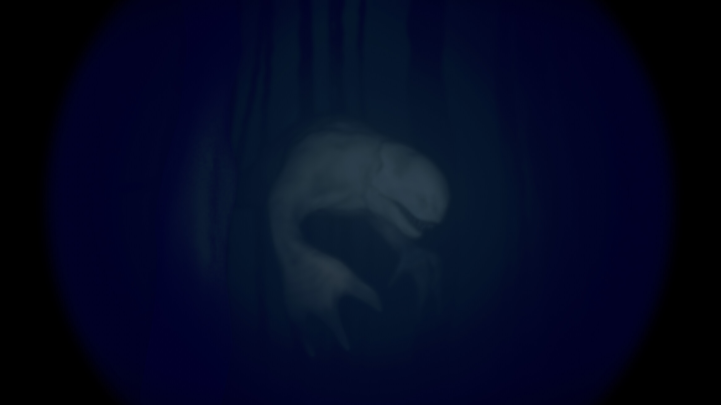 Abyssal Rust screenshot 4