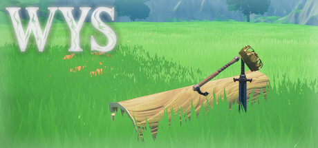 Cover art from WYS