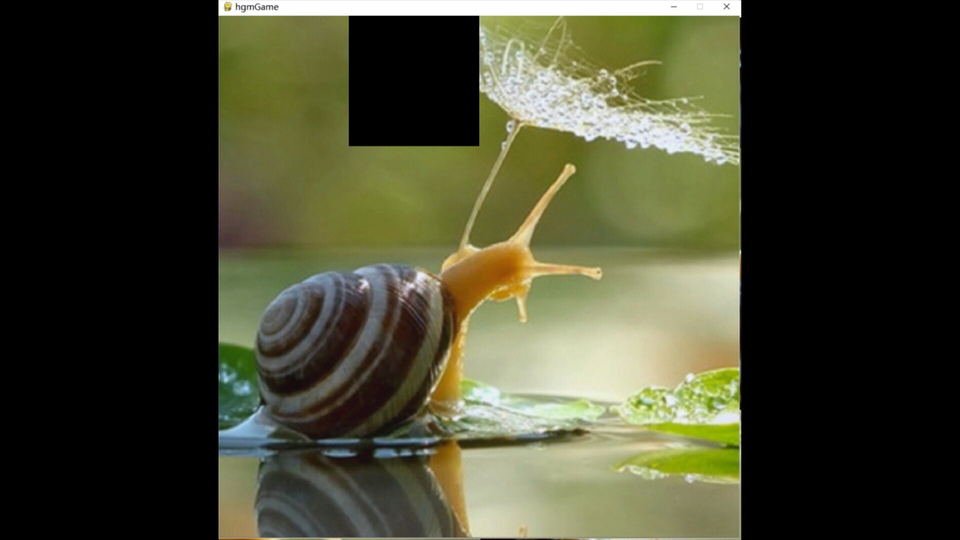 hgmGame-snail trailer