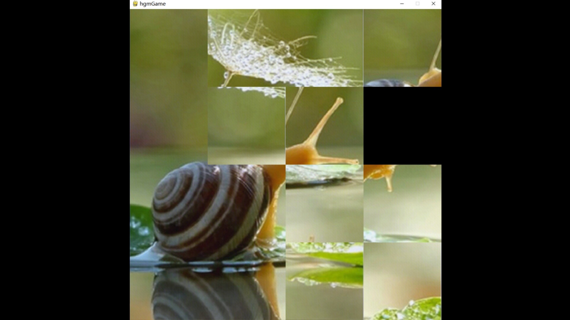 hgmGame-snail screenshot 5