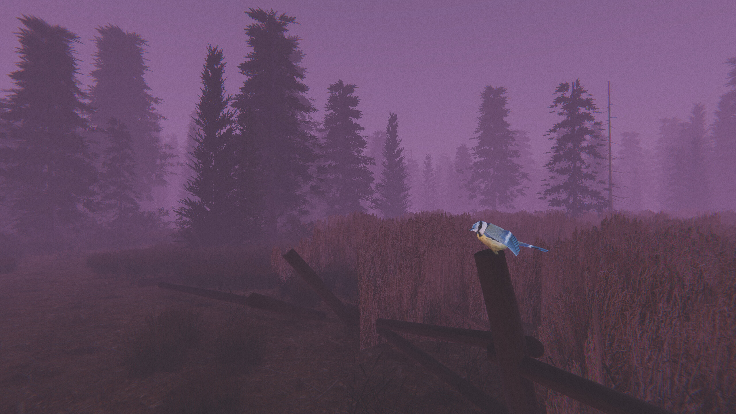 Den: A Short Horror Story screenshot 4