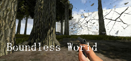 Cover art from Boundless world