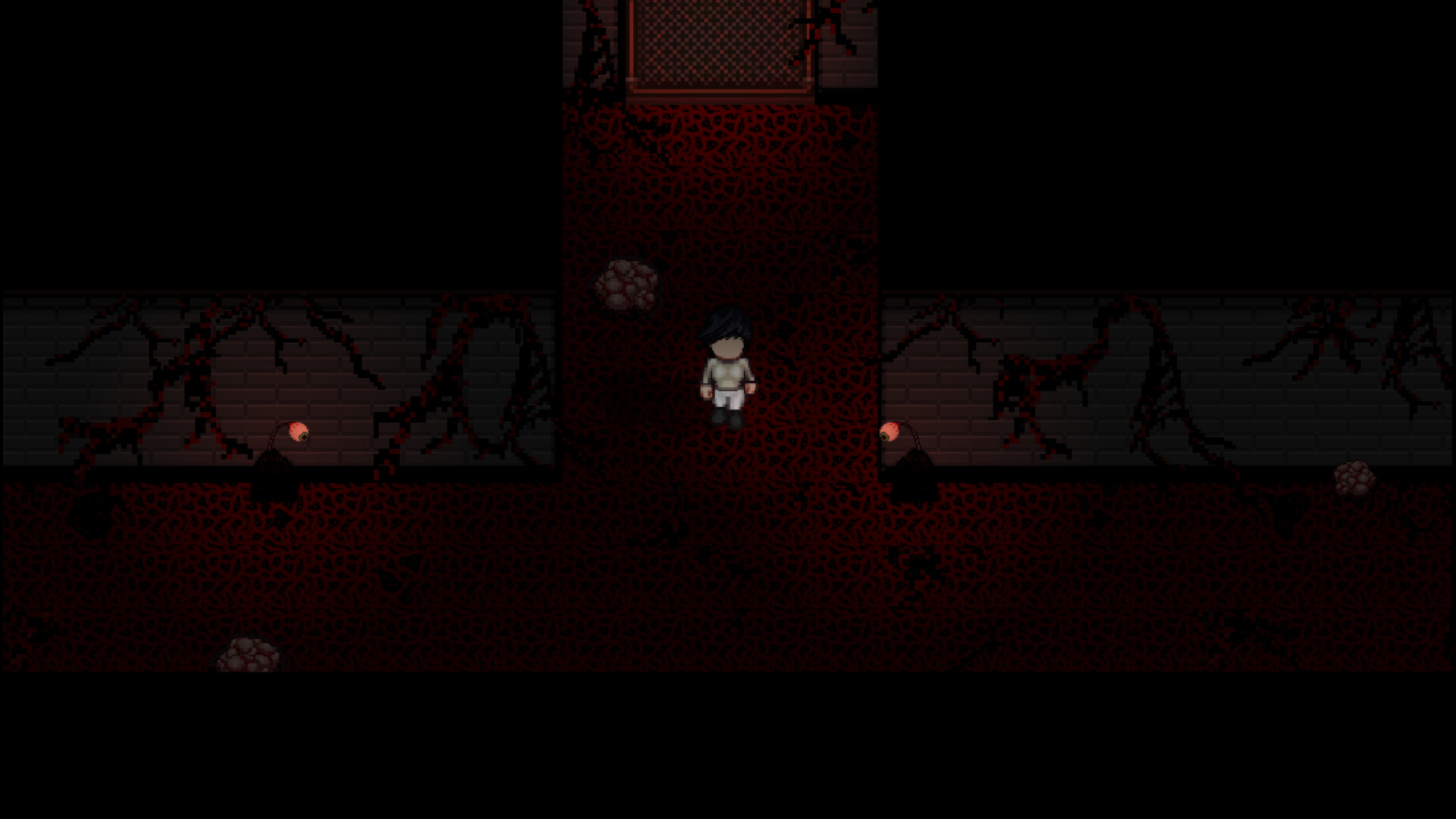 Sanity Protocol trailer