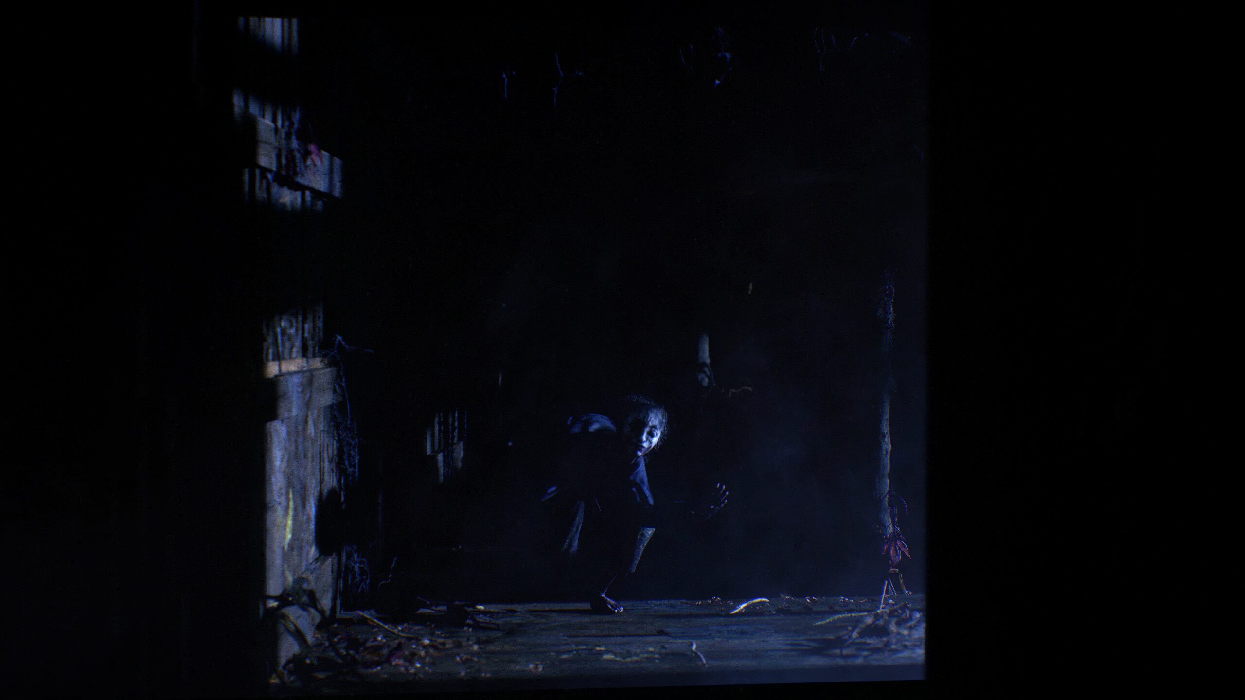 The Twilight Project screenshot 3