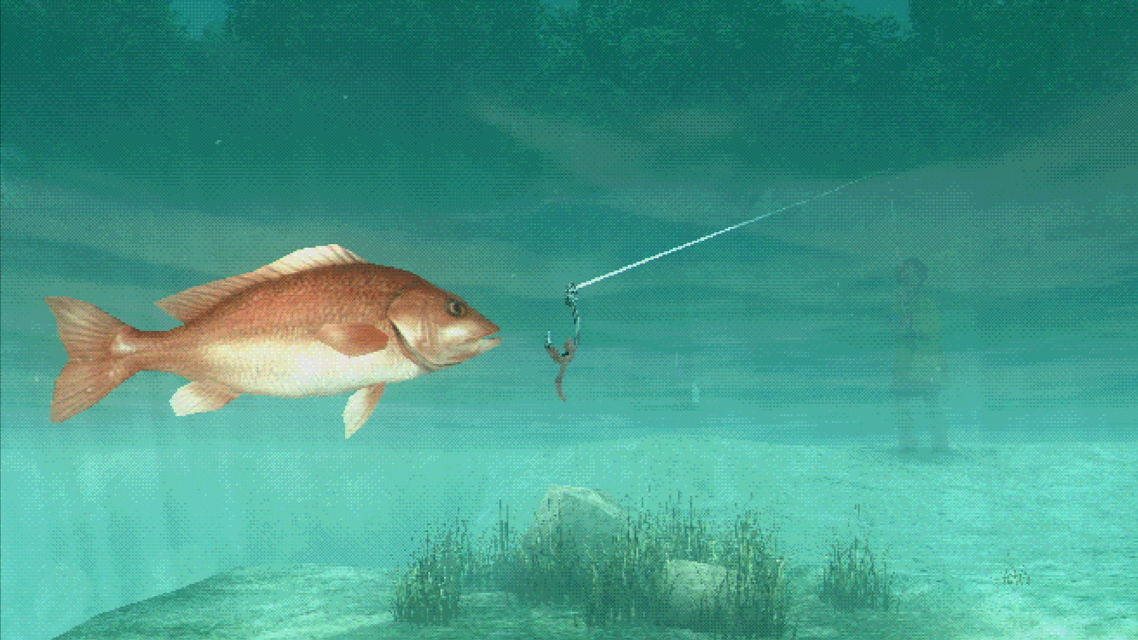 About Fishing trailer