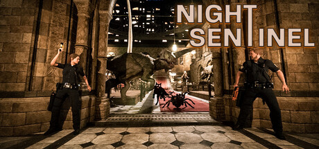 Night Sentinel