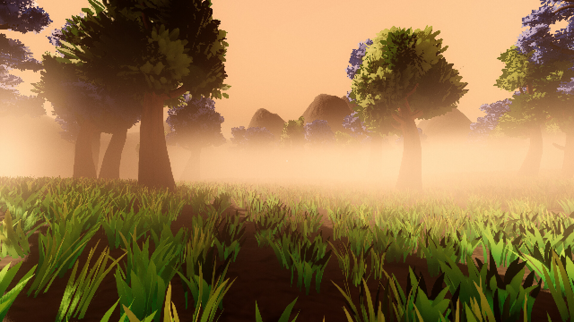 Amanita screenshot 3