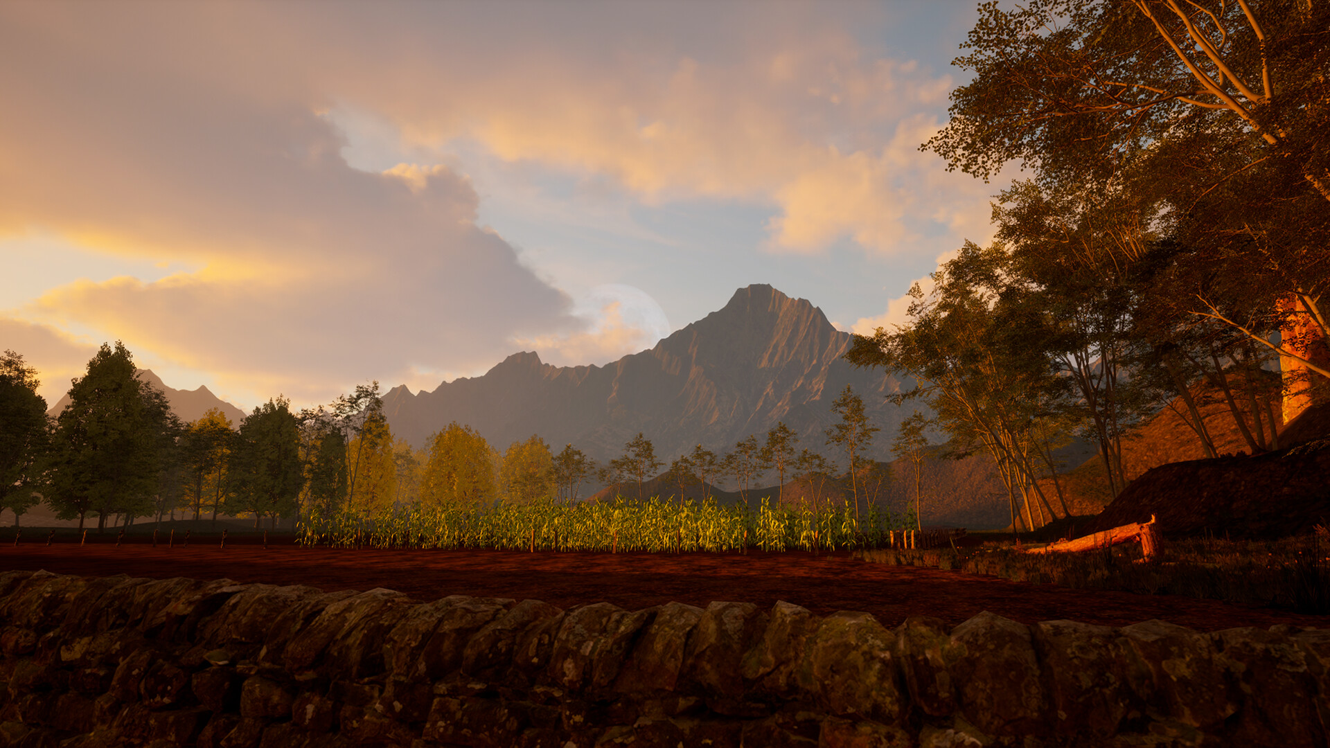 Whispers of Mexico: La noche de la casada trailer