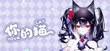 你的猫