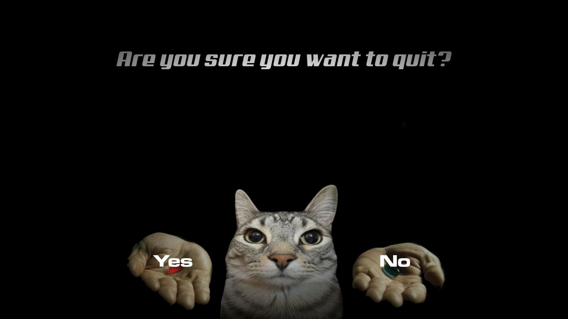 Click the Cat 3 screenshot 3