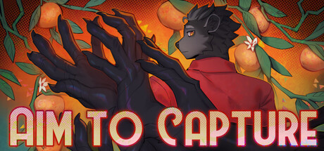 Cover art from Aim to Capture