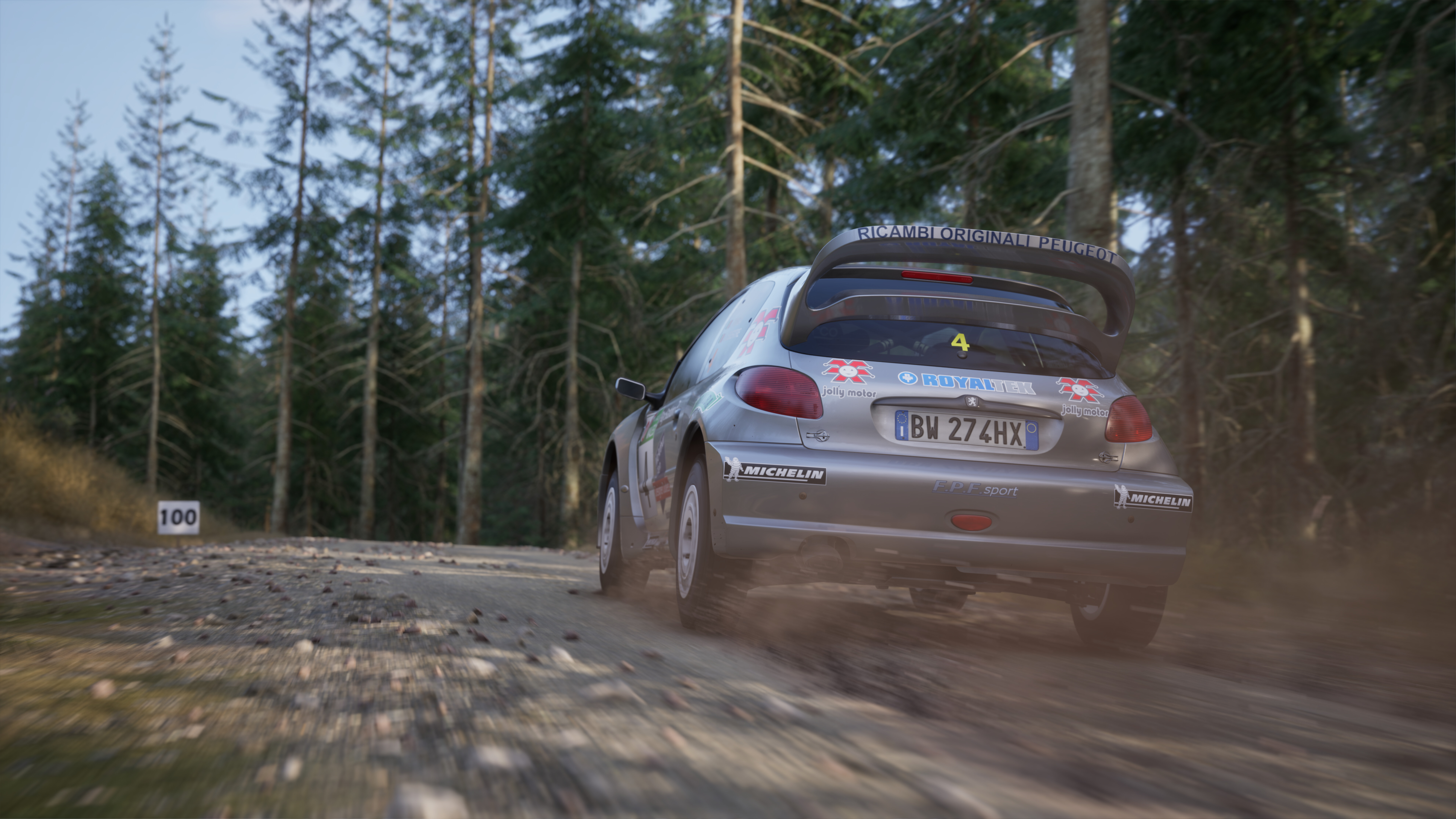 Assetto Corsa Rally screenshot 5