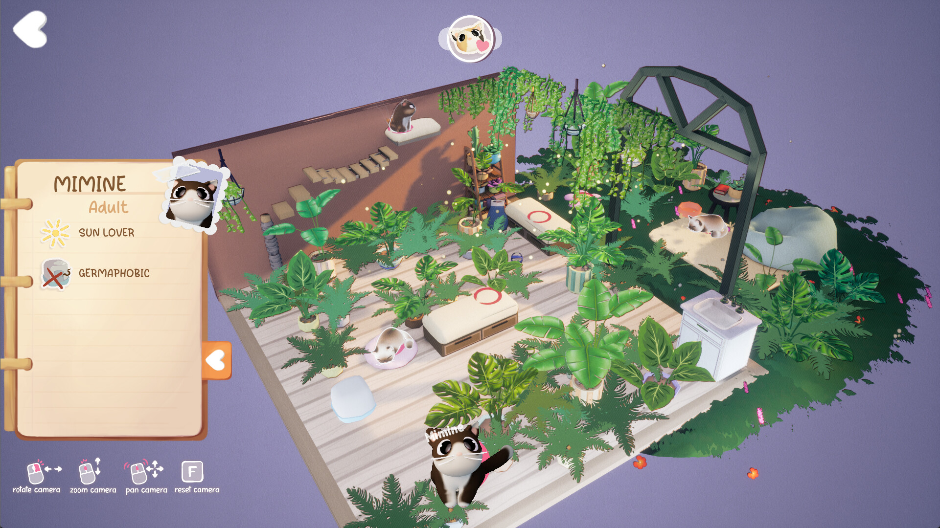 Kitty Haven screenshot 5