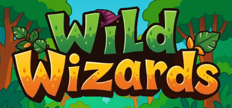 Cover art from Wild Wizards