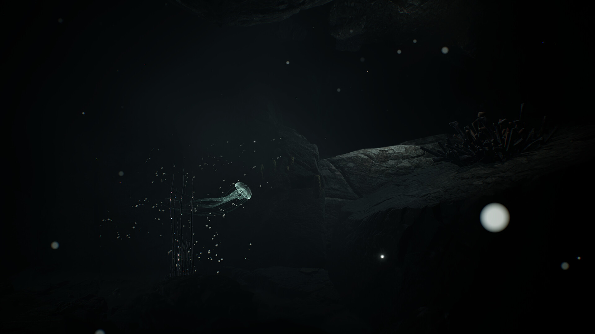 JELLYFISH screenshot 5