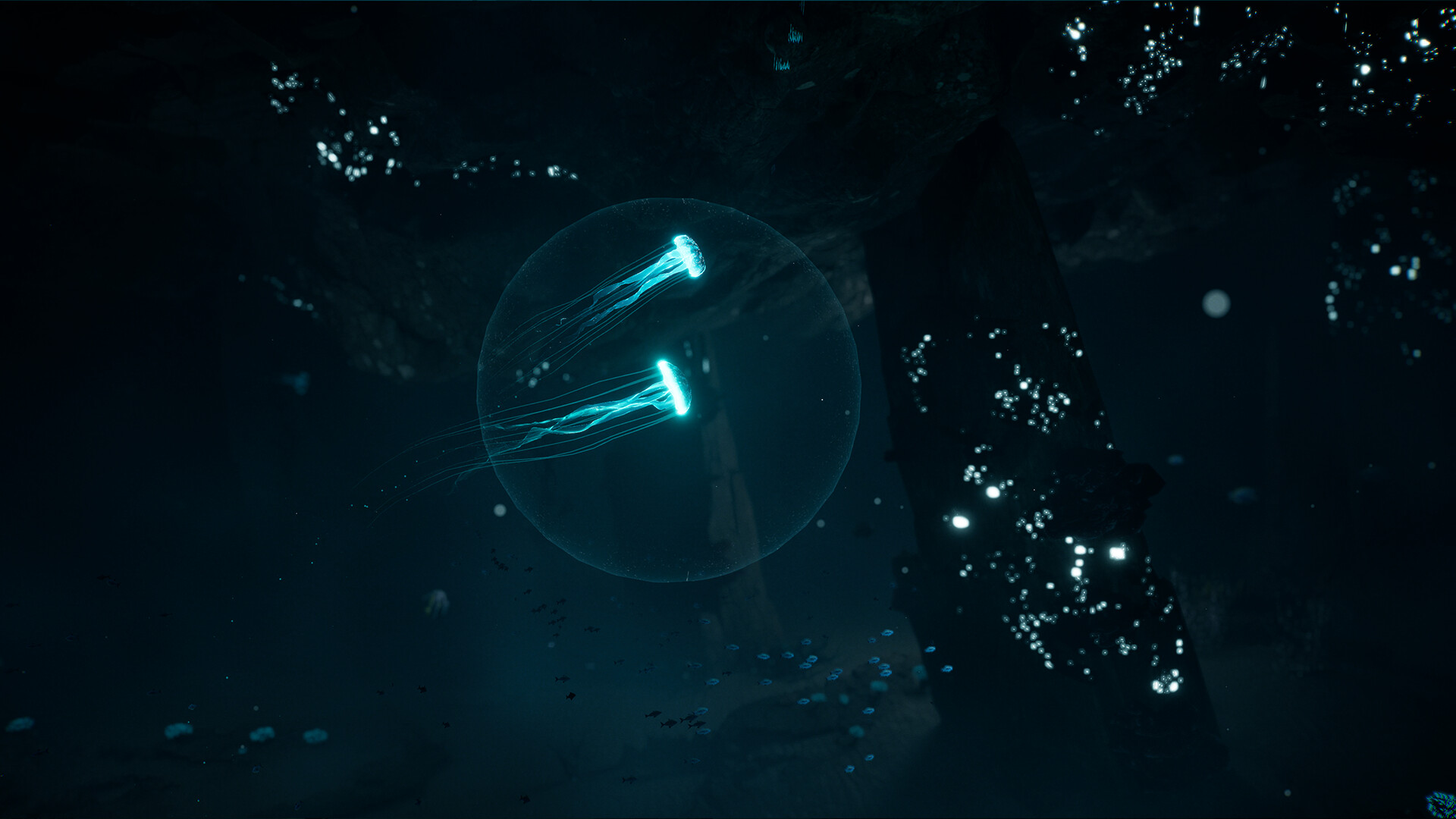 JELLYFISH trailer
