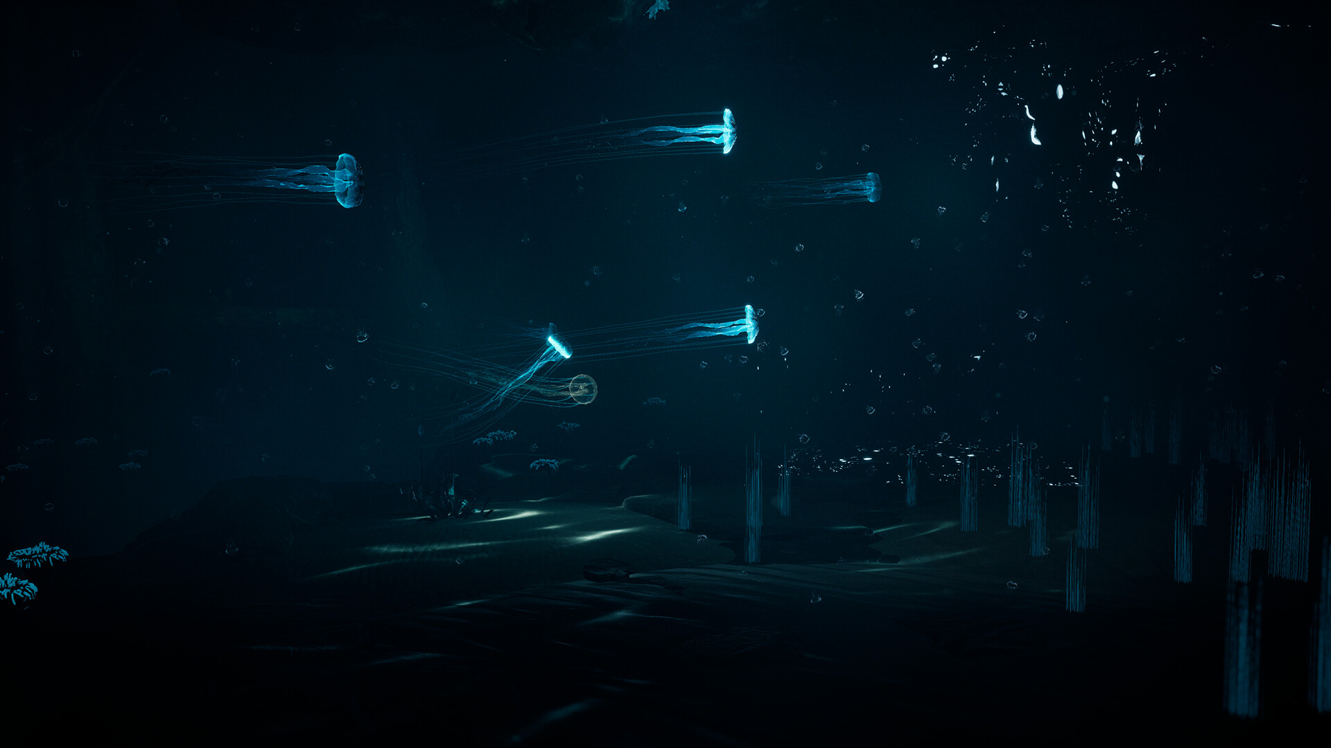 JELLYFISH screenshot 3
