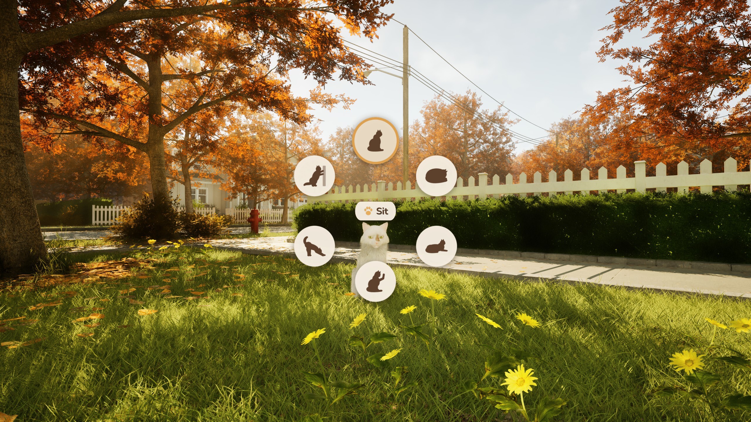 A Day with Wuki screenshot 5