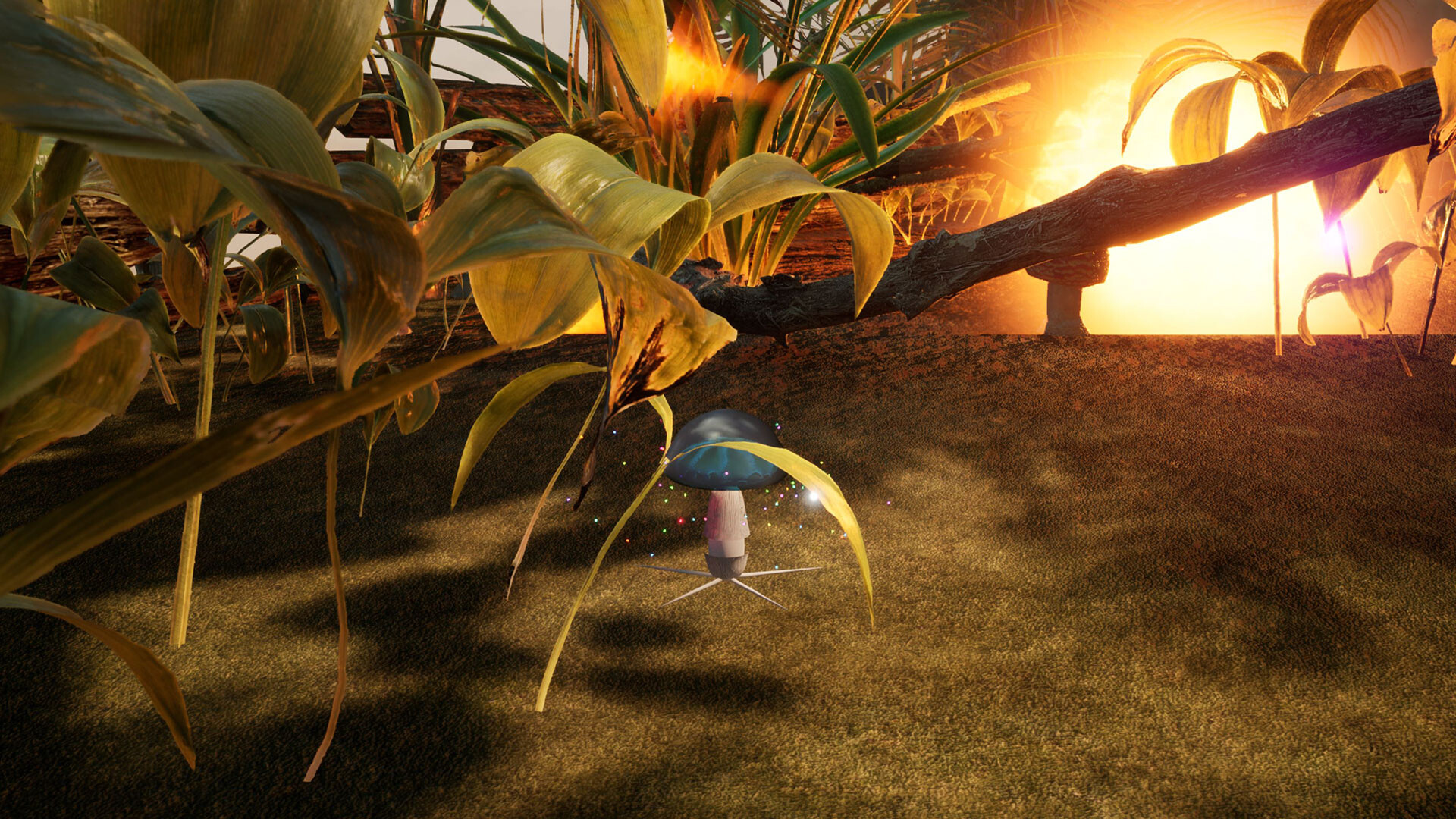 The Mushroom Adventrue:Call of Distant Realms screenshot 5