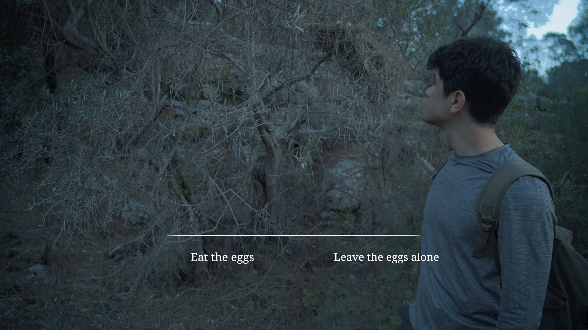 Wordless Forest screenshot 4