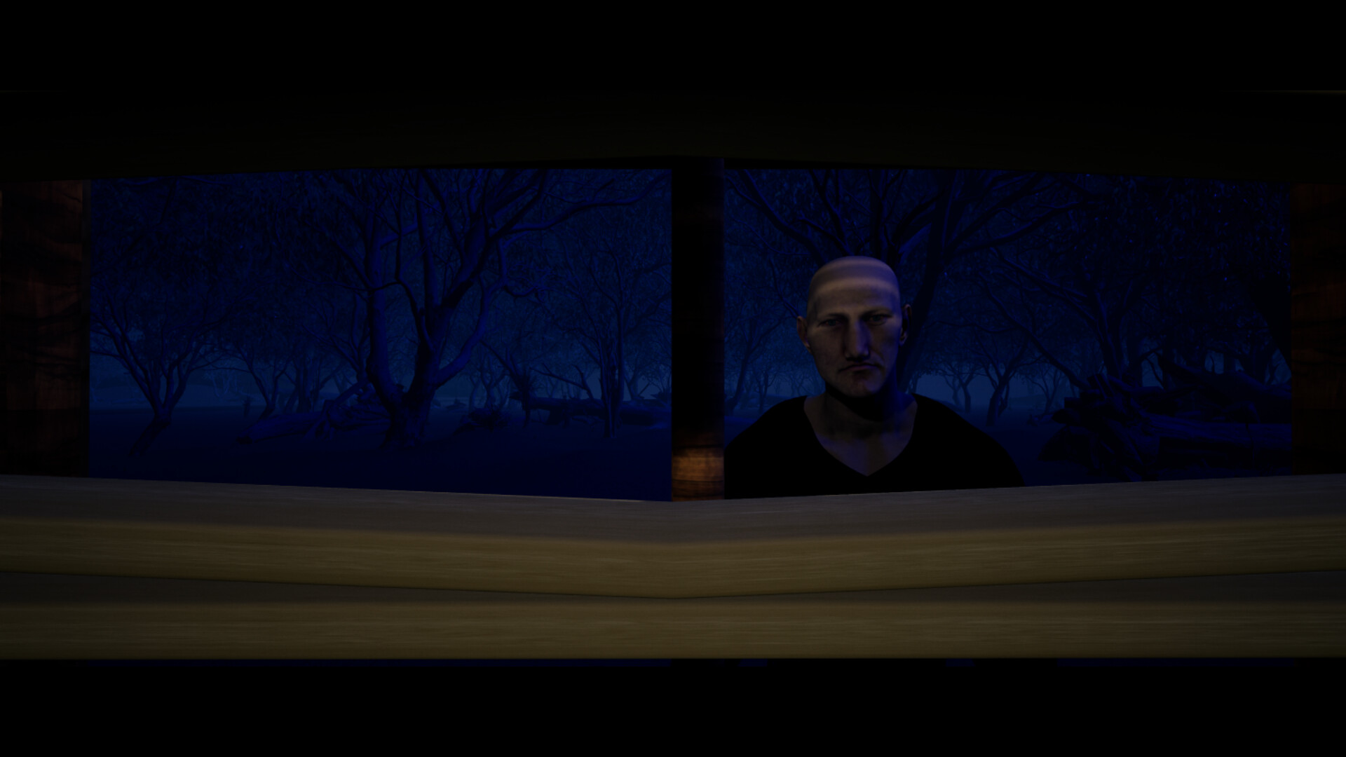 Trailer poster