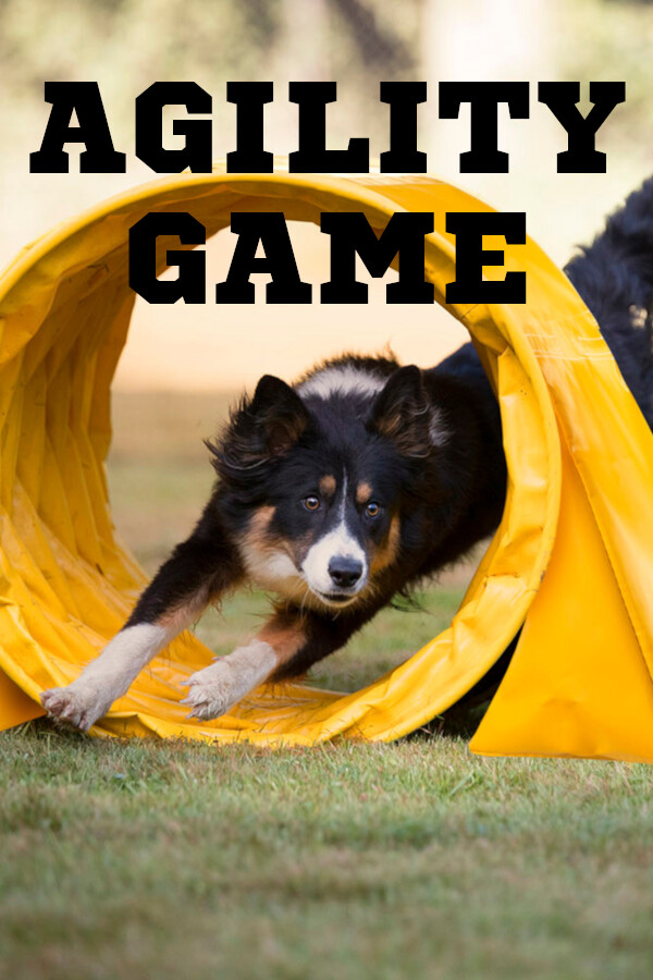 Agility Game