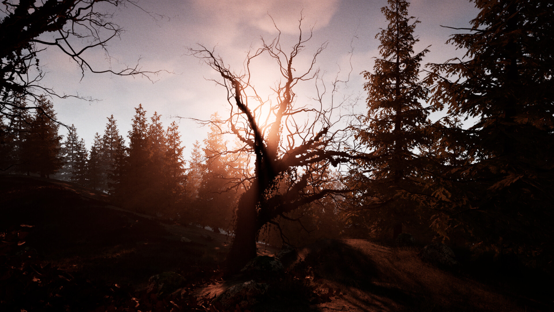 Dwelling on the Hill screenshot 2