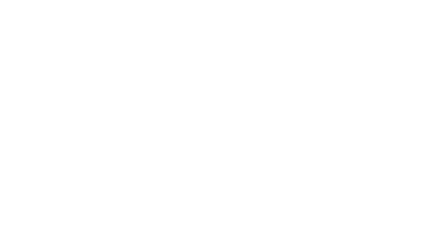 Final Strategy