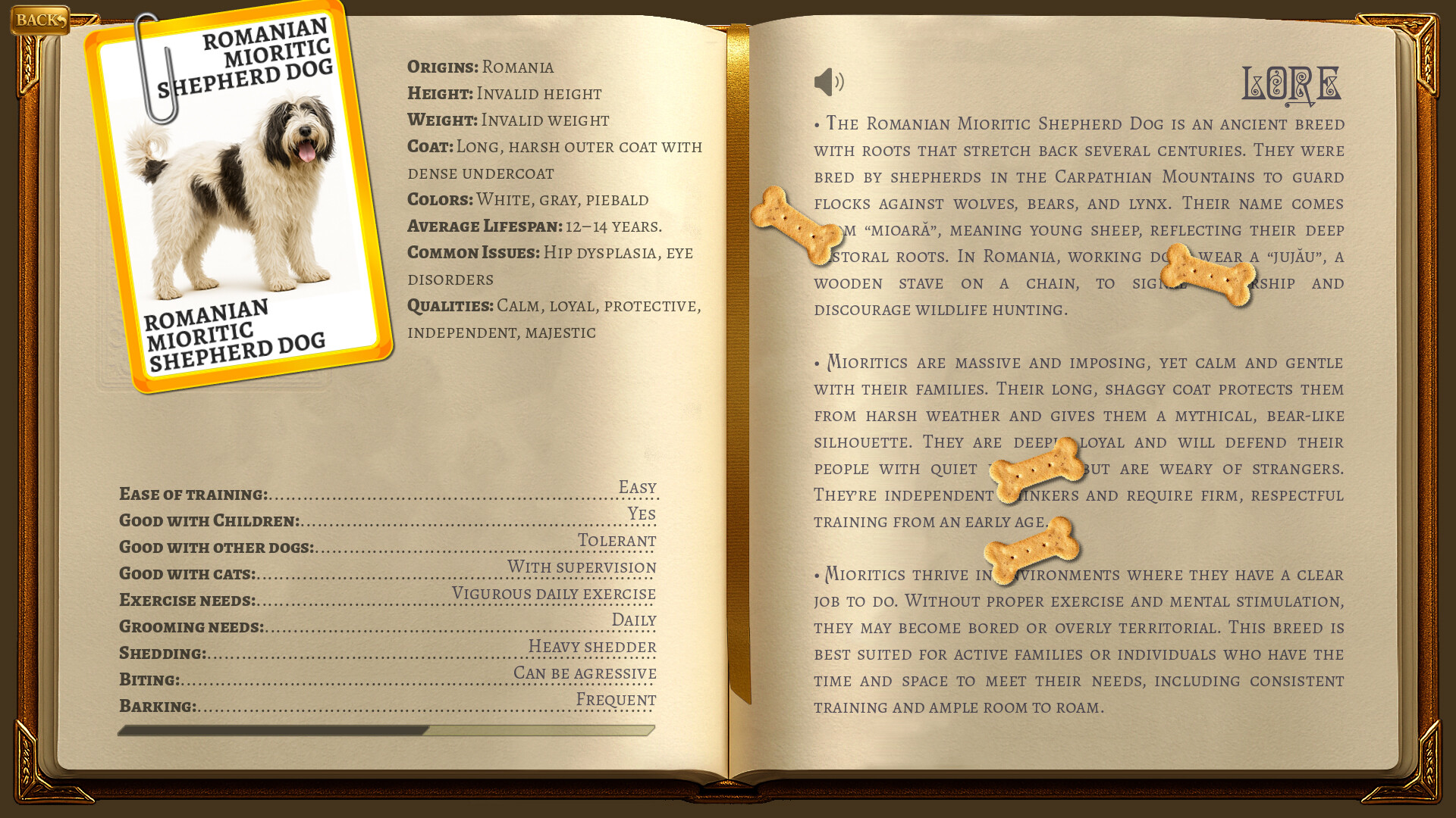 Tails in Pairs screenshot 5