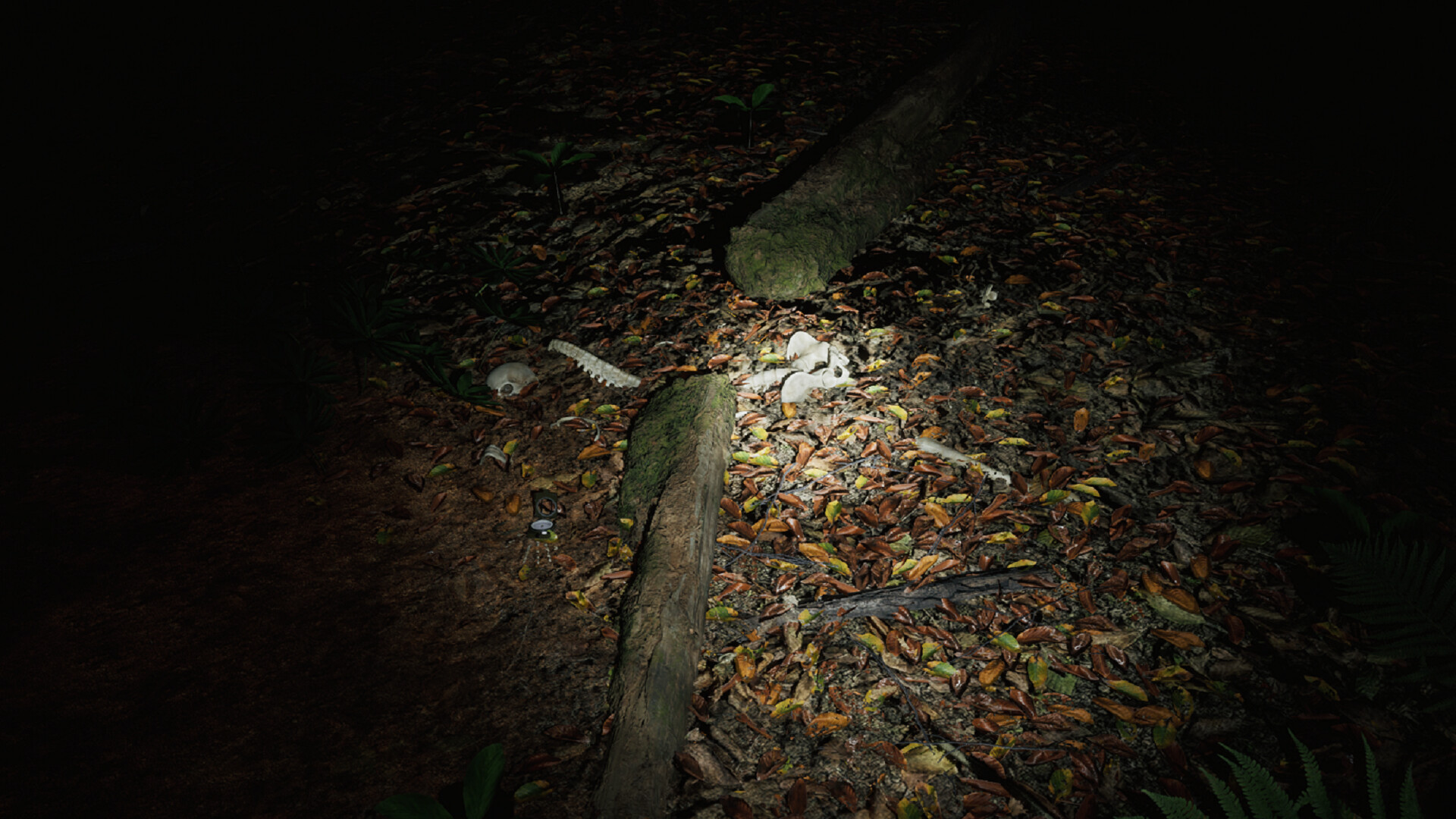 Skinwoods: The Full Cut screenshot 5
