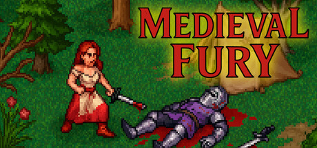 Cover art from Medieval Fury
