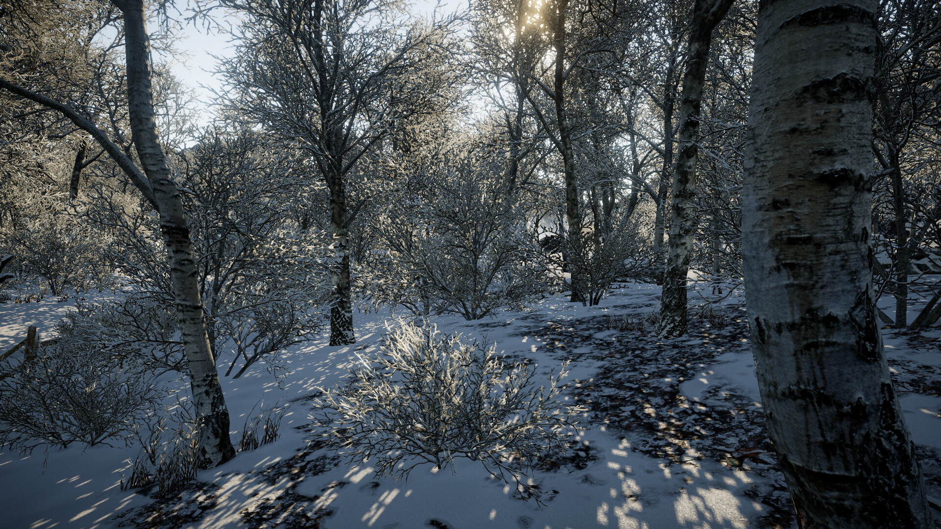 Tundra screenshot 3