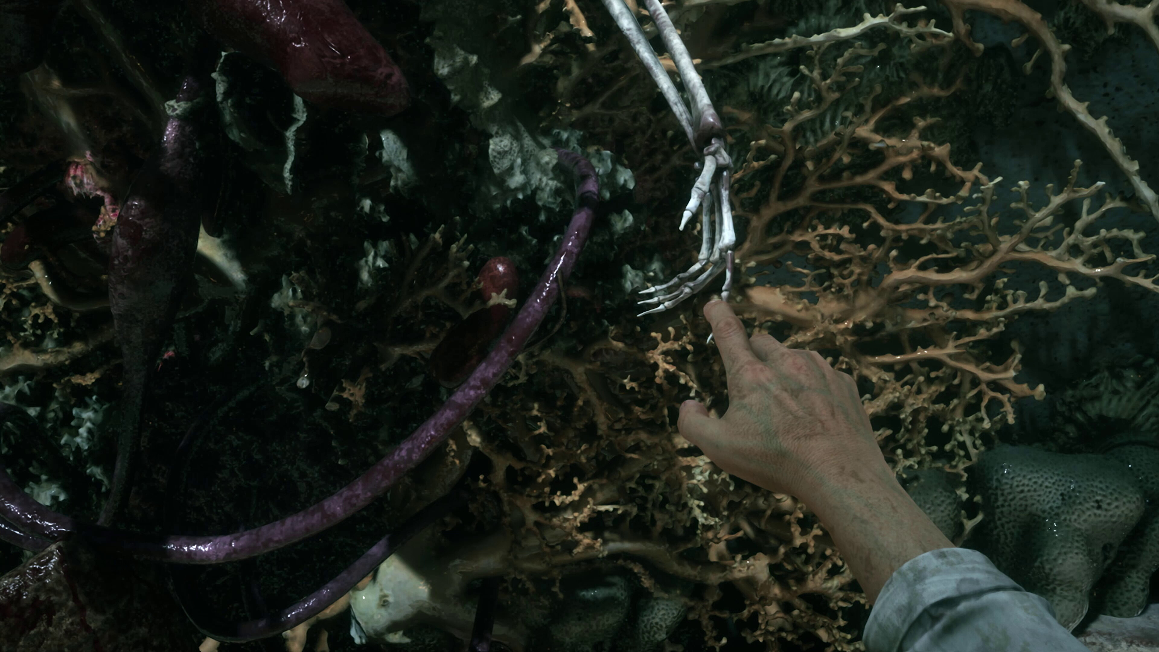 Sker: The Bleeding Veil screenshot 4