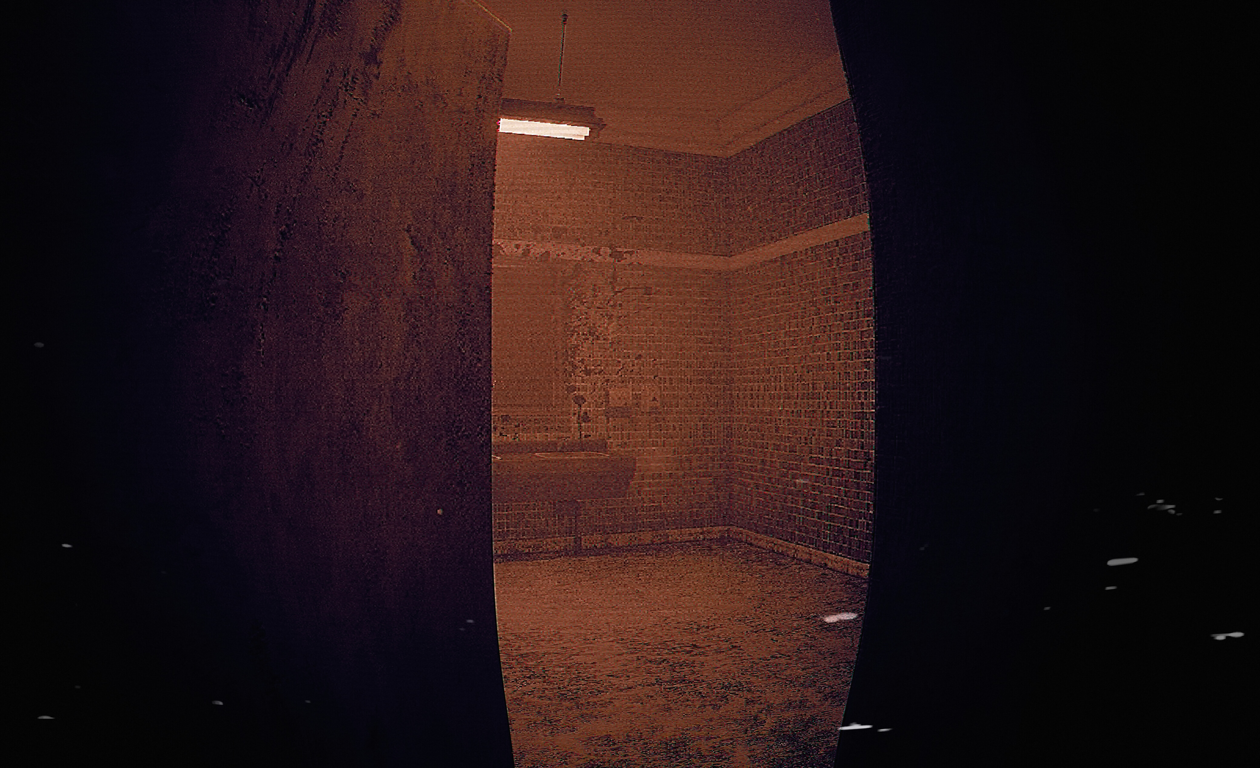 ALONE: Mnemophobia screenshot 4